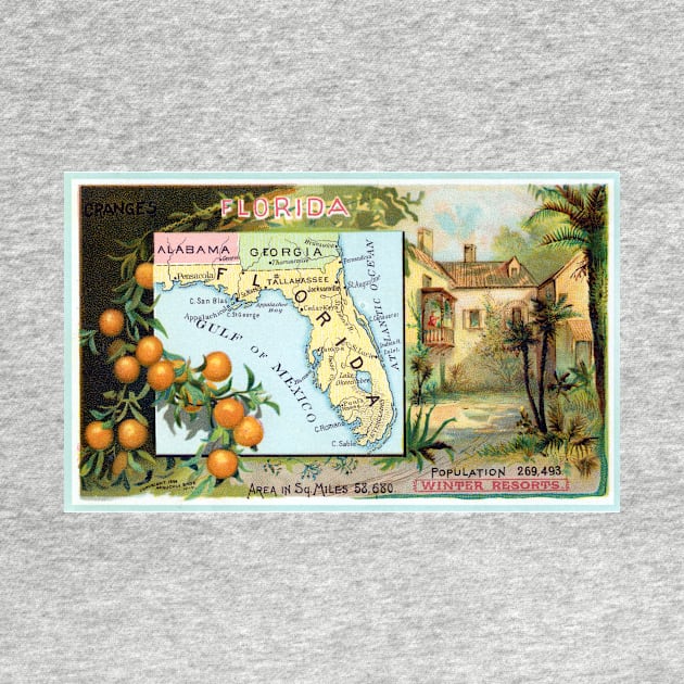 1889 The State of Florida by historicimage